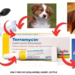 zoetis animal health terramycin antibiotic ophthalmic